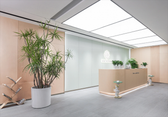 辦公室裝修設(shè)計施工：打造高效與舒適并存的現(xiàn)