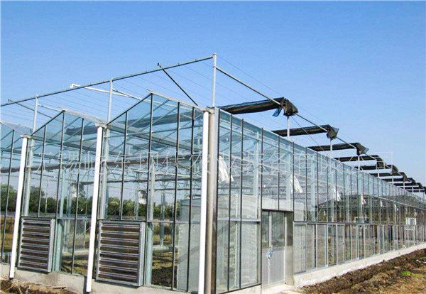 玻璃溫室