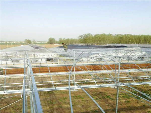 購買大棚骨架需要注意什么？