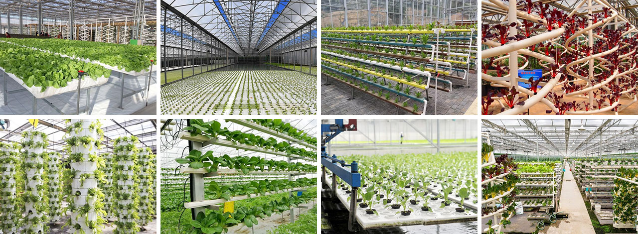 65b4644a20825.jpg 未標題-1.jpg